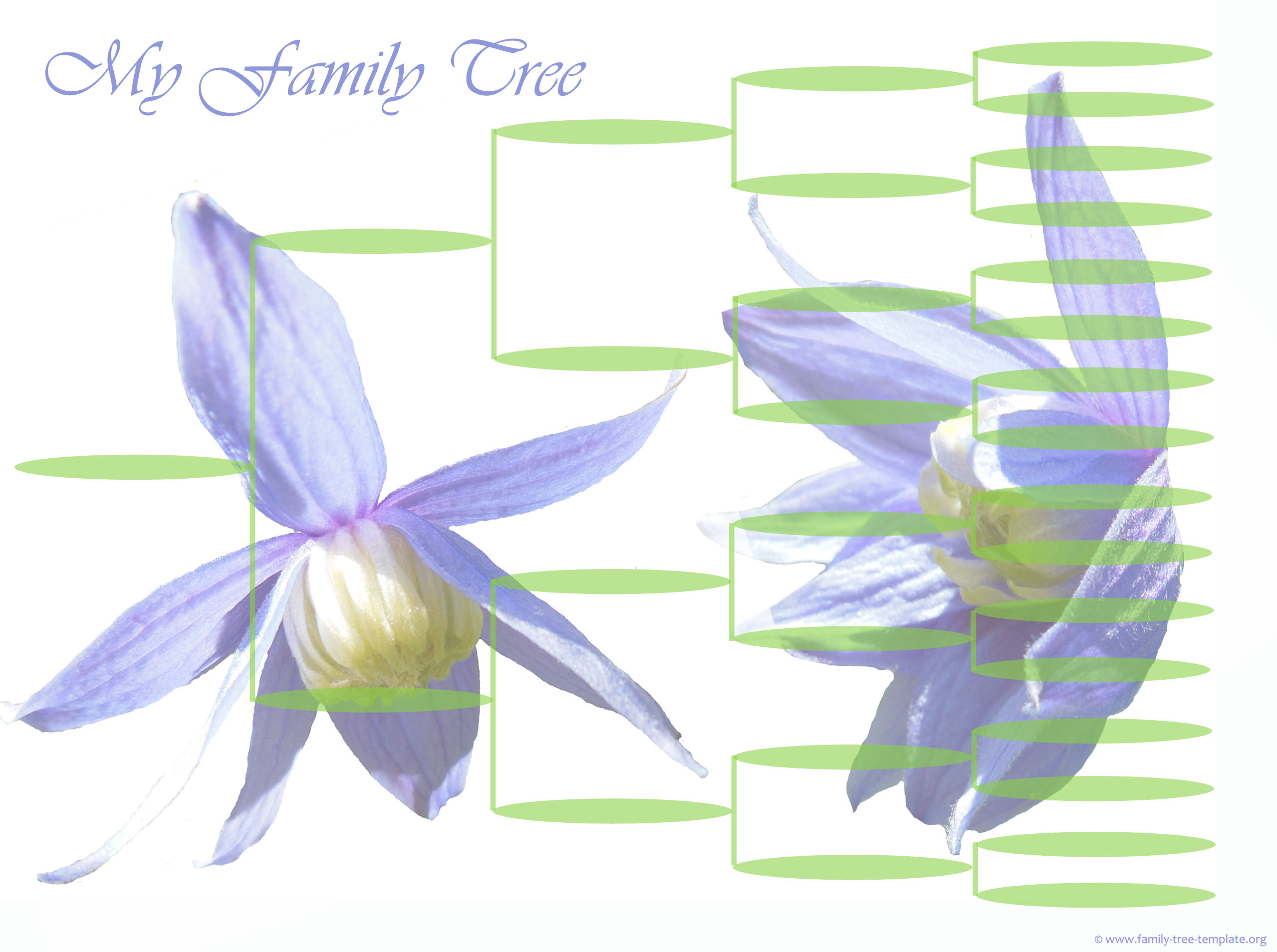 High resolution family tree diagram to print. 5 generations.